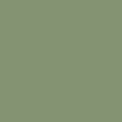 Davis Colors Willow Green 5376